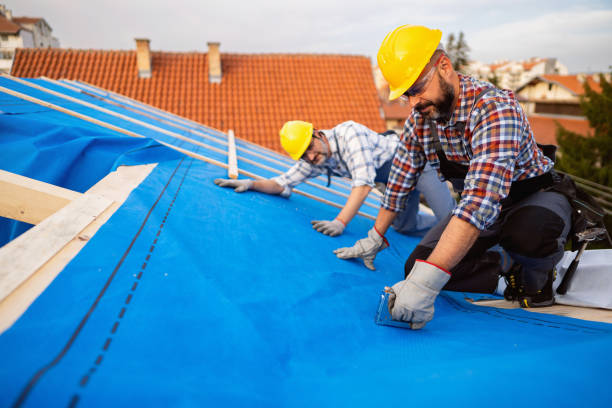 Best Roof Gutter Cleaning  in Elverson, PA