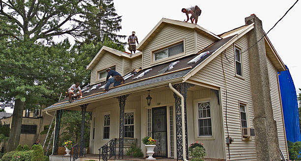Best Metal Roofing Contractor  in Elverson, PA