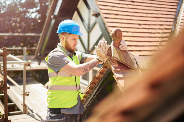Roof Gutter Cleaning in Elverson, PA